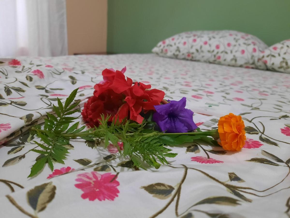 Drakes Bay Hotel Gitana Corcovado, Y Tour Operador מראה חיצוני תמונה