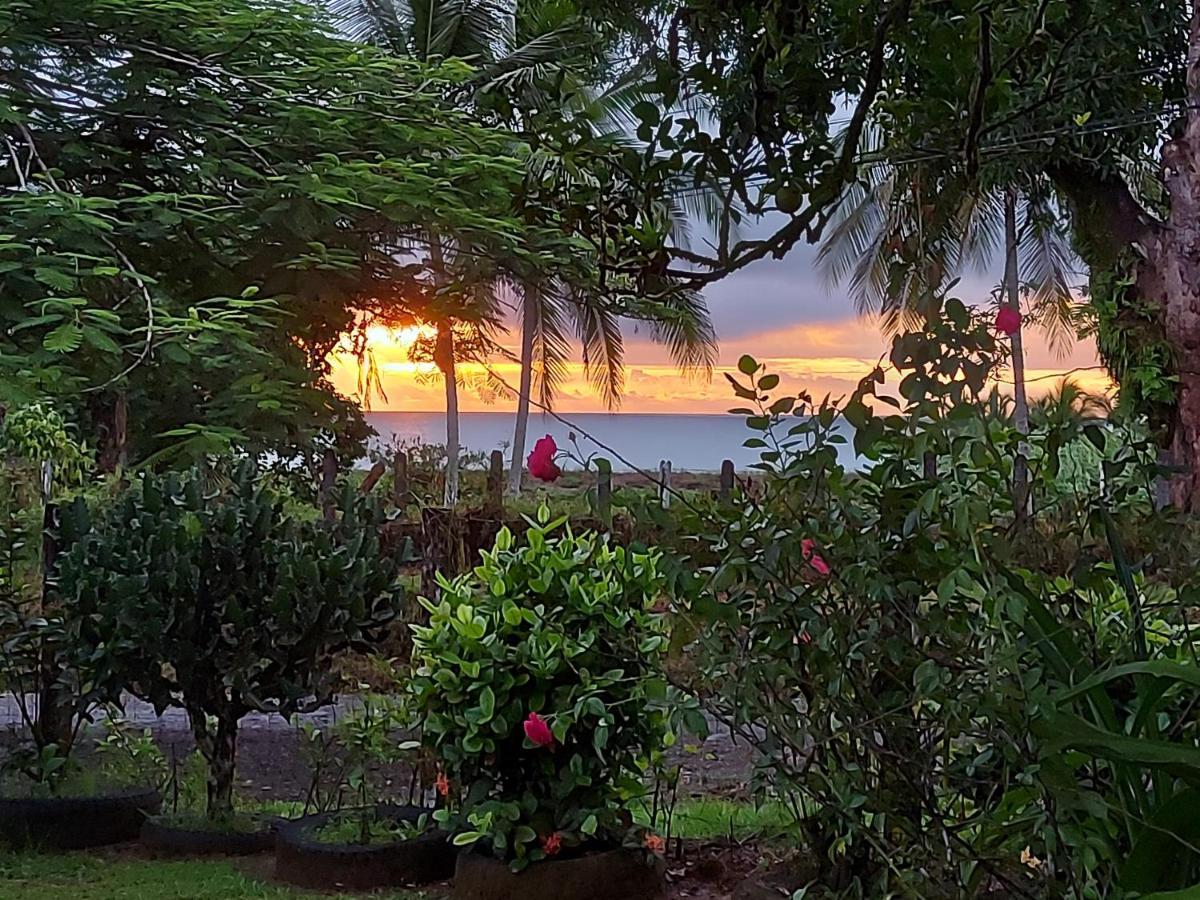 Drakes Bay Hotel Gitana Corcovado, Y Tour Operador מראה חיצוני תמונה