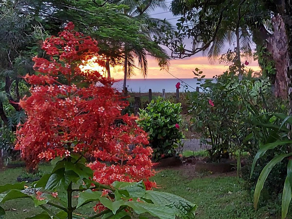 Drakes Bay Hotel Gitana Corcovado, Y Tour Operador מראה חיצוני תמונה