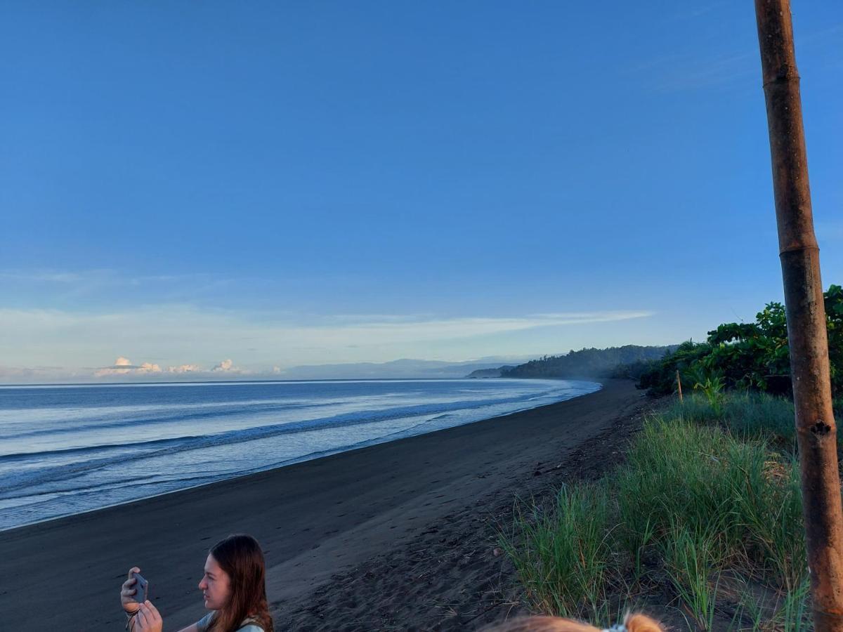 Drakes Bay Hotel Gitana Corcovado, Y Tour Operador מראה חיצוני תמונה
