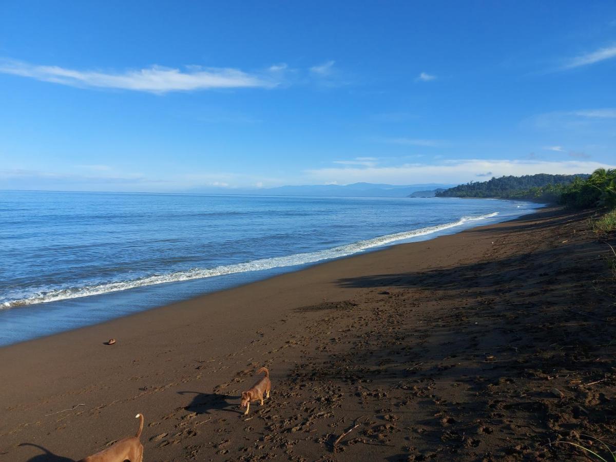 Drakes Bay Hotel Gitana Corcovado, Y Tour Operador מראה חיצוני תמונה
