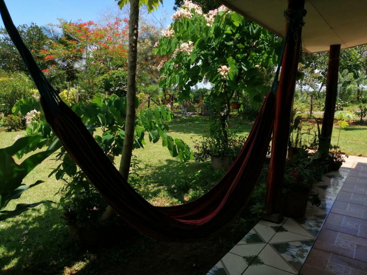 Drakes Bay Hotel Gitana Corcovado, Y Tour Operador מראה חיצוני תמונה
